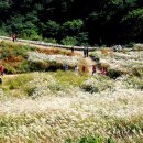 따오기품은 세진마을 이미지