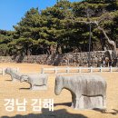 국립김해박물관 화장실 건너편 | 경남 여행 김해 수로왕릉 왕비릉 국립 김해 박물관