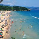 한일리조트민박 | 🐚 2025 여름휴가 추천 – 삼척 2박 3일 가족여행 완벽 가이드