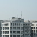 서울대학교 수의과대학 동물병원 | 서울대학교수의과대학 진학 가이드 및 꿀팁