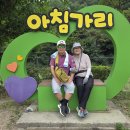 은마차