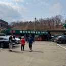 원조두지리매운탕본점 | 파주 원조두지리매운탕본점 참게 메기