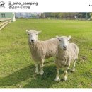 제이제이오토 이미지