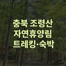 충북 조령산 자연휴양림, 자연을 품은 최고의 힐링 여행지! 가족·연인과 자연에서 숙박 추천!