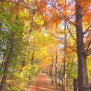 수지주공 공인중개사사무소 | ✨수지구청역 신정마을 9단지 주공아파트 소개✨