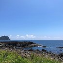 올레로하우스 이미지