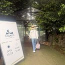제주 아침미소목장 &amp; 틴크레스트 (TINCREST) 완전정복 내돈내산 솔직후기