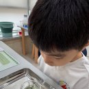 나도 과학실험맨(B) | <화명 유아 사고력 과학> 액체의 탑