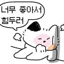 그린브로스 샐러드 경희대점 이미지