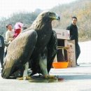 야생식당 이미지