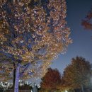 예음피아노교습소 이미지