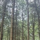 백우산-용속계곡 산행 이미지