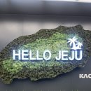 제일렌트카 | 제주도 여행) 내돈내산 렌트카 후기, 가격, 할인 방법, 할인 쿠폰, 제주도 혼자여행