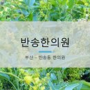 반송한의원 이미지