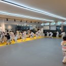 코리아 태권도 3관 이미지