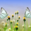 윌노래연습장 네이버블로그