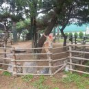 농업회사법인 에코팜 주식회사 이미지