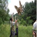 전북야생동물구조관리센터 이미지