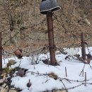 광치자연휴양림 이미지