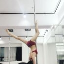 쉬라인폴피트니스 이미지
