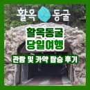 주차65 | 충주 활옥 동굴로 당일 여행! 입장료, 주차 정보 및 카약 탑승 후기!
