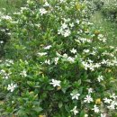 갈뫼농장 이미지