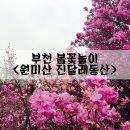 제469차 4/8(토) 부천 원미산"진달래축제"에 초대!!! 이미지