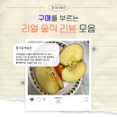 금계농장 | [공지] 풍기금계농장 고객분들이 직접 전해주신 감사한 리얼 사과 리뷰 모음 😊❤️