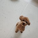 그룸 앤 먼치 네이버블로그