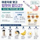 🍽️ 마운자로 맞고 입맛이 없다고? 식사 대신 먹으면 좋은 음식 총정리 (센트비 추천인 : M9V4XL)