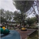 대명11동행정복지센터 이미지