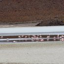 풍경이 있는 호수 이미지