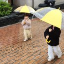 꾸이꾸이 생선구이 이미지