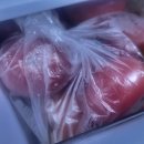 농라 창원김농부 찰토마토 5키로후기