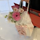 갑배향결혼정보 | 결혼준비 02. 안양웨딩홀 더파티움 안양 라포레홀 27년 6월 당일계약 후기 (+10만원 할인 혜택)