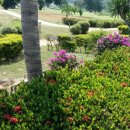 방화공인중개사사무소 이미지