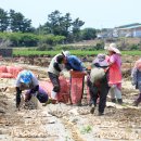 상모리-26 이미지