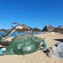 어촌민박 이미지