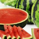 일표농장 이미지