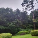 제우스 스크린 골프 | 파크골프용품 구성품 파우치 가방 볼 타올 마커 파크골프채 리뷰