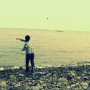 바다가머무는집 이미지