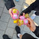 개나리민박 | 250322-0323 봄꽃이 폈다고? 구례