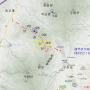 작년에갔던