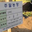 동주네 농장
