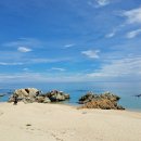 울진식당 이미지