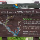 하동약초