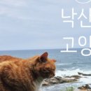 썬옥(SUNOK) 네이버블로그