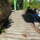 몰운대초등학교 이미지