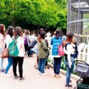 주홍글씨 이미지