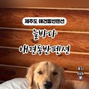 늘바다통나무집 이미지